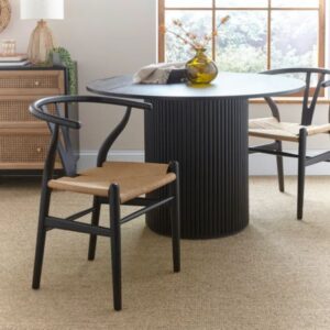Lara Wishbone Dining Chair