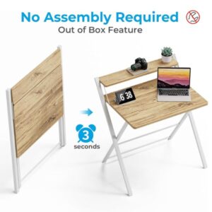 GreenForest Folding Desk v1