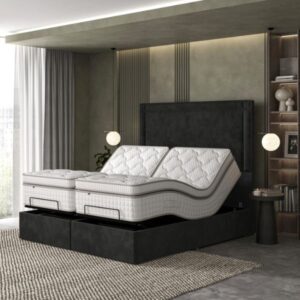 Tech Latex Motion Plushtop Adjustable Divan Set