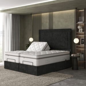 Tech Latex Motion Plushtop Adjustable Divan Set v1