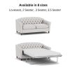 Payton Sofa Bed different sizes