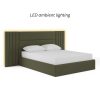 Gilpin Ottoman Bed Frame with led lighting