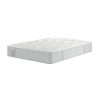 Sealy Toledo Backcare Firm Support Mattress