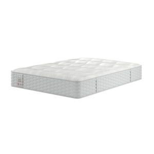 Sealy Toledo Backcare Firm Support Mattress